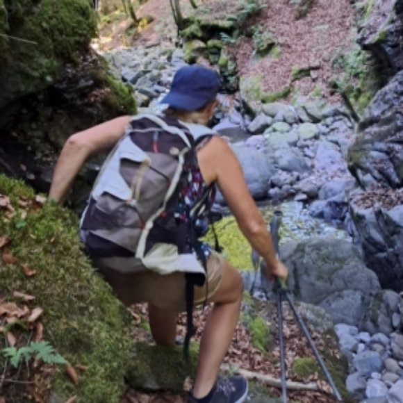 Illustration du profil de Zoleil