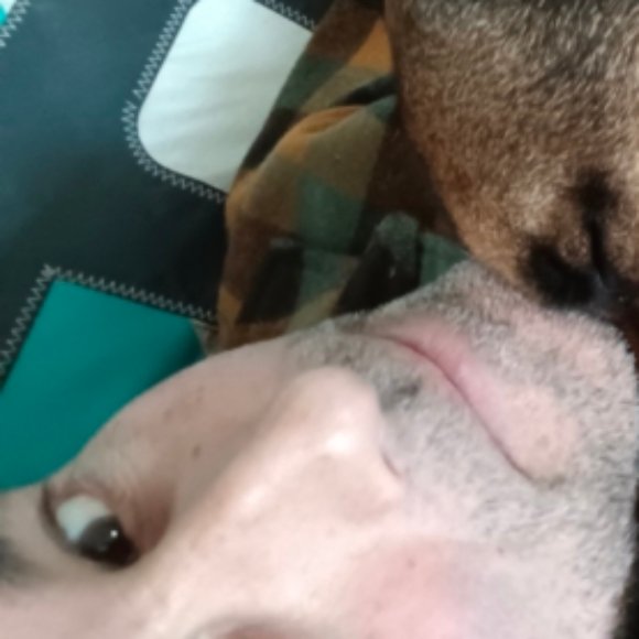 Illustration du profil de Reno