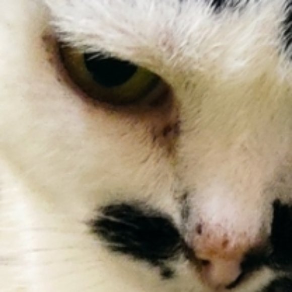 Illustration du profil de Clarisse Mu