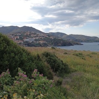 f78ba821-fc00-4948-b904-e06ade728c9e-1_all_125